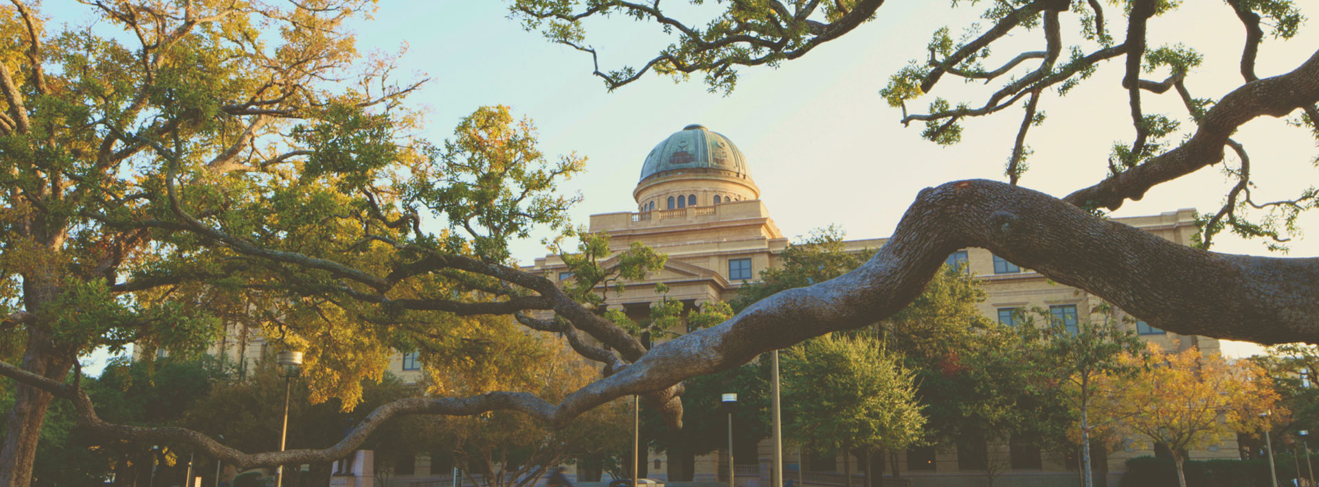 Texas A&M Academic Building on campus