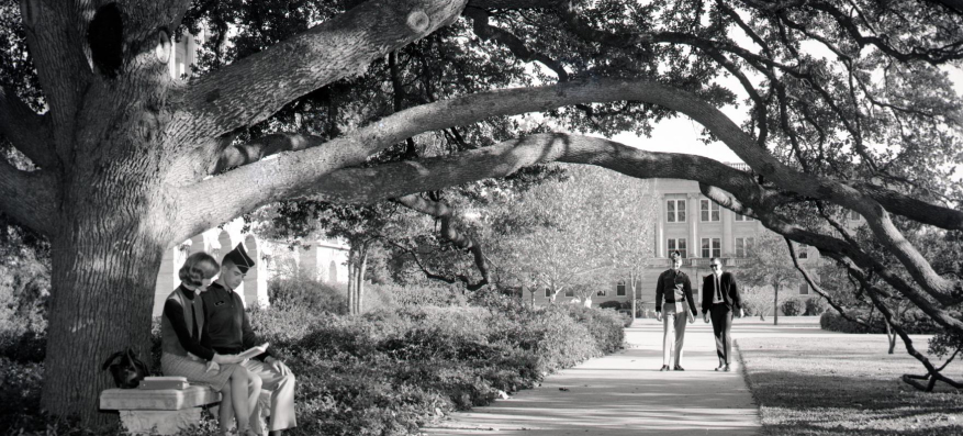 Couple sitting under tree